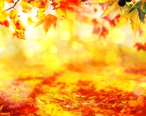 Griechenland im Herbst