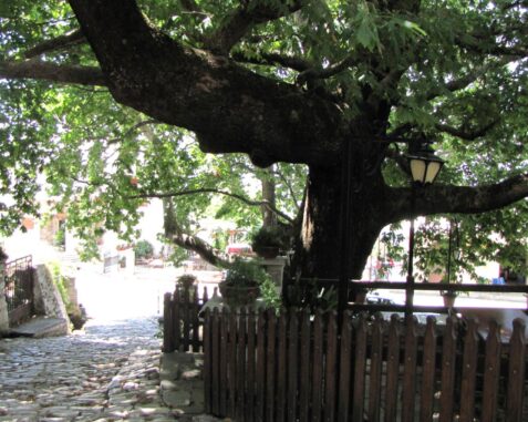 Music Village in Agios Lavrentios auf Pilion